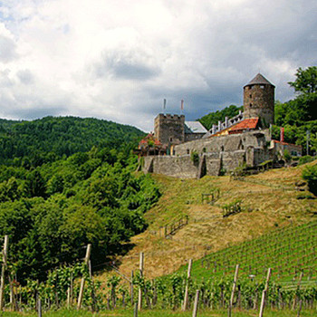 Burg Deutschlandsberg in der Steiermark in den Weinbergen