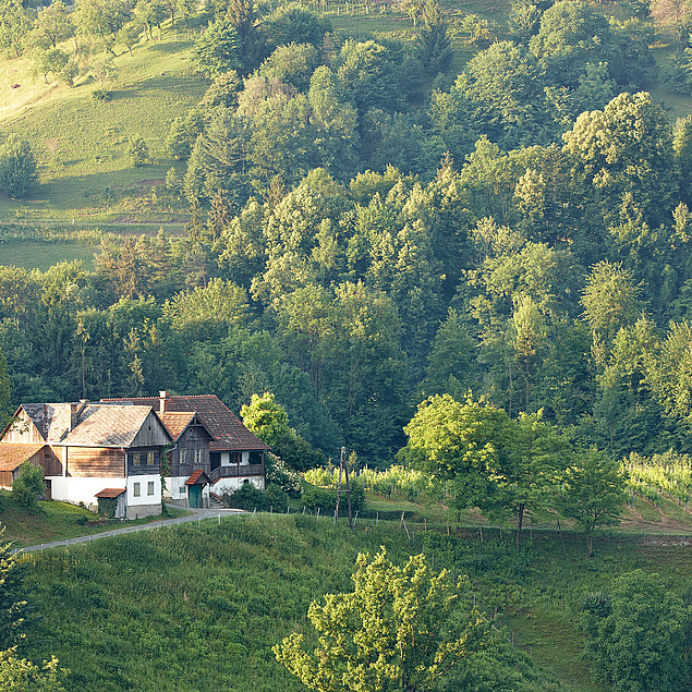 Das Gut Pössnitzberg inmitten der Weinberge in der grünen Südsteiermark