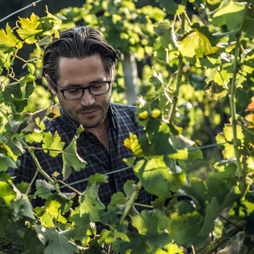 Winzer Hannes Sabathi im Weingarten