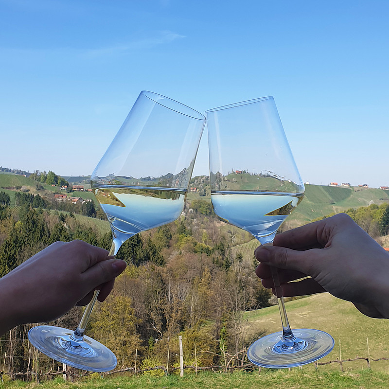 wine landscape styria cheers