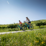 E-Bike Tour durch die Weinberge der Südsteiermark