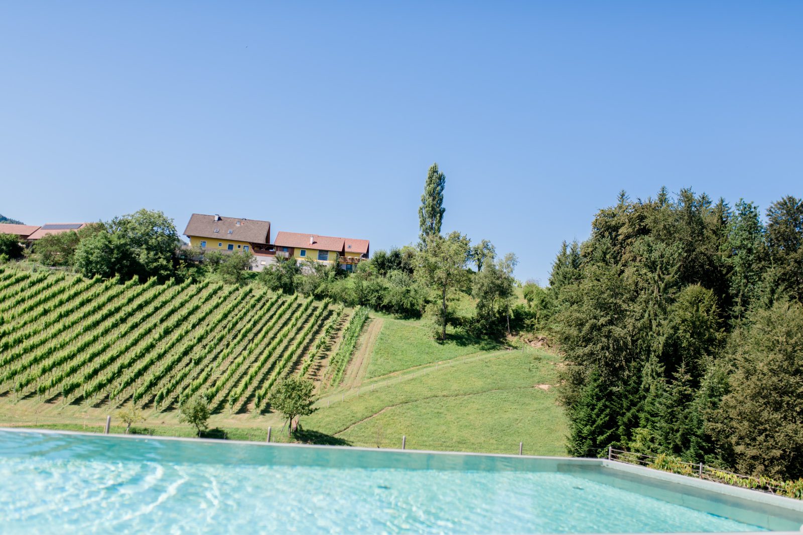 Pool Südsteiermark
