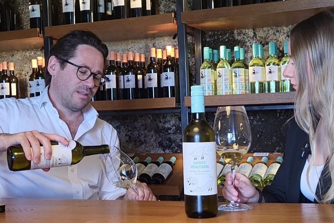 experten wine talk winzer hannes sabathi